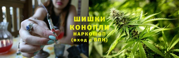 spice Аркадак