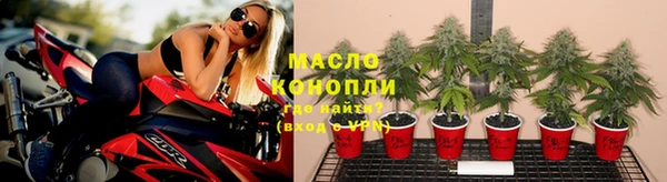 spice Аркадак
