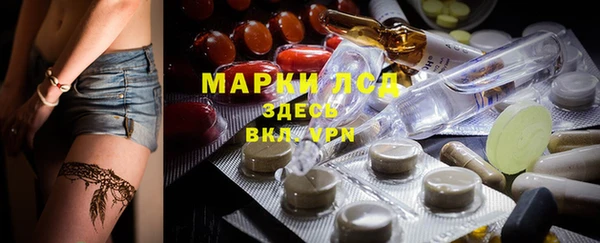 spice Аркадак