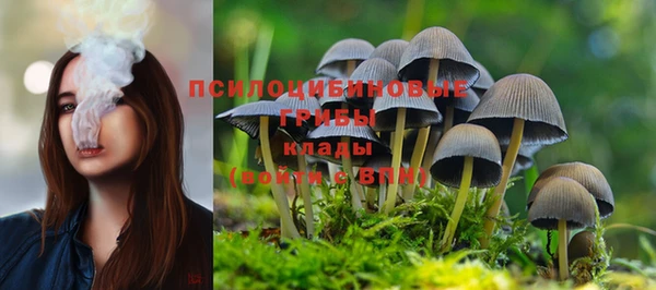 MDMA Premium VHQ Арсеньев