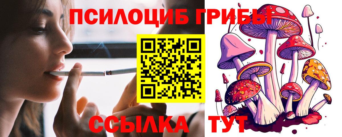 Реутов  Псилоцибиновые грибы GOLDEN TEACHER  Вход с VPN 