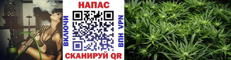 Шишки марихуана OG Kush  Реутов 